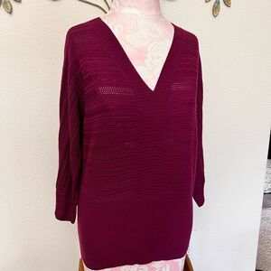 The Limited Deep Burgundy V-Neck Sweater